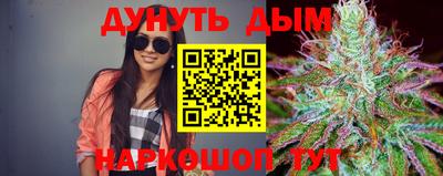 индика Будённовск
